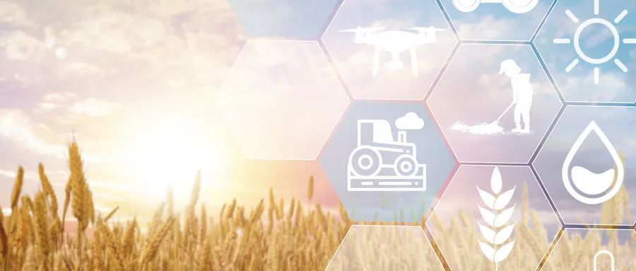 1680052930633825.jpeg 1680052930633825.jpeg